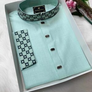 Embroidered Premium Punjabi Pest colour