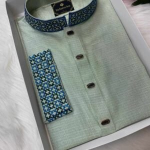 Embroidered Premium Punjabi Olive