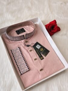 Embroidered Premium Punjabi Onion Colour