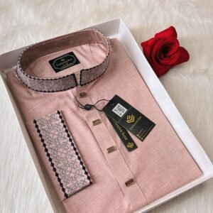 Embroidered Premium Punjabi Onion Colour