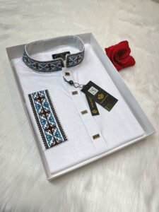 Embroidered Premium Punjabi White Colour
