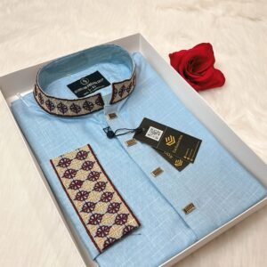 Embroidered Premium Punjabi Sky Blue Colour