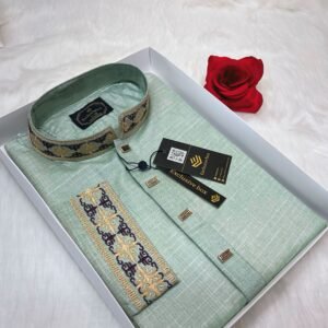 Embroidered Premium Punjabi light Olive Colour