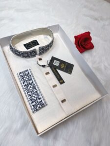 Embroidered Premium Punjabi Off White Colour