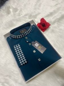 China stitch Embroidered Premium Punjabi See green Colour