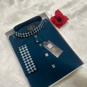 China stitch Embroidered Premium Punjabi See green Colour