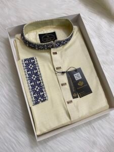 Embroidered Premium Punjabi Off White Colour