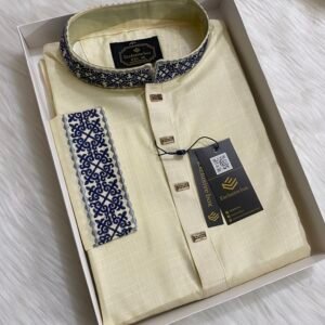 Embroidered Premium Punjabi Off White Colour