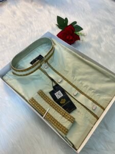 Arong Cotton Embroidered Premium Punjabi light lemonColour
