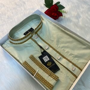 Arong Cotton Embroidered Premium Punjabi light lemonColour