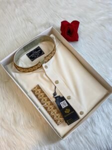 China stitch Embroidered Premium Punjabi Off white Colour