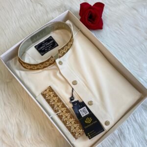 China stitch Embroidered Premium Punjabi Off white Colour