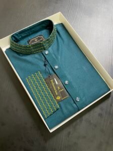 Embroidered Premium Punjabi See green