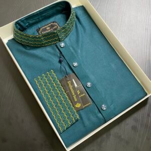Embroidered Premium Punjabi See green